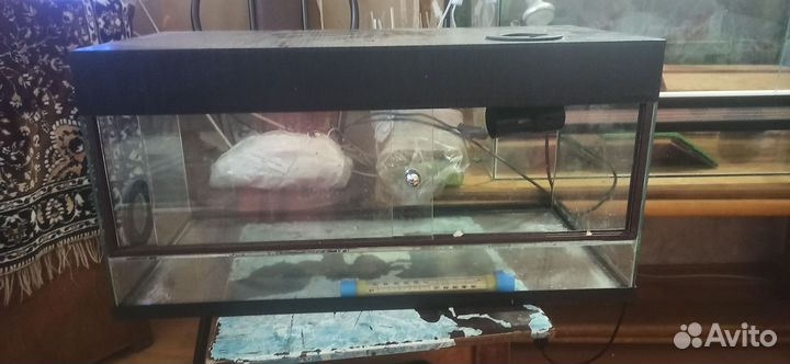 Два террариума большой 100*56*40