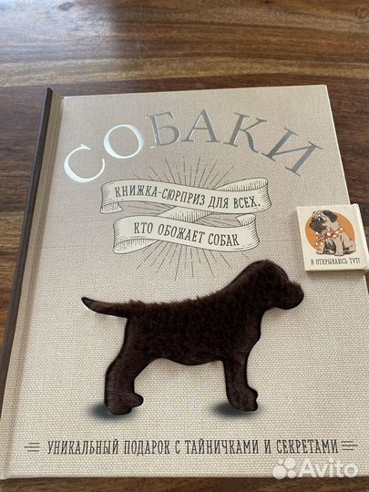 Книга сюрприз. Собаки