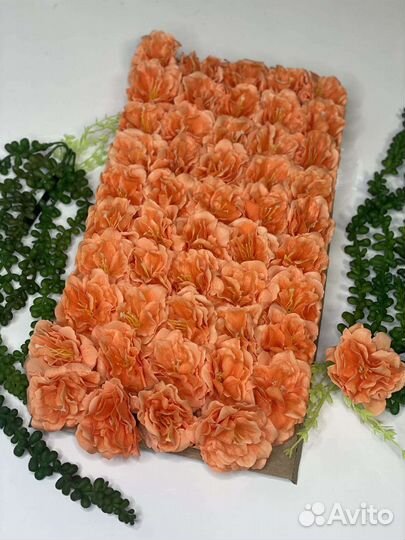 Сакура, Астра, Камелия, Роза, Пион, мыло