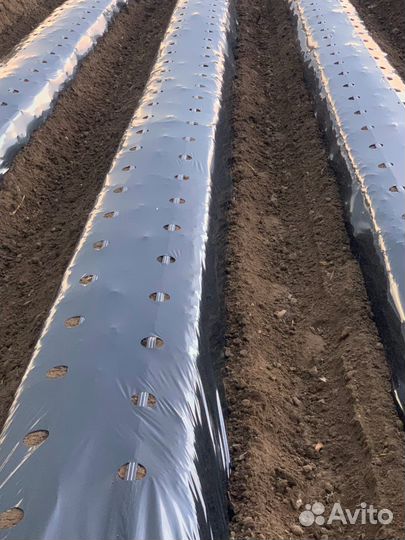 Грядообразователь однорядка, двухрядка, фреза