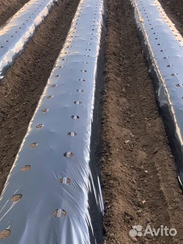 Грядообразователь однорядка, двухрядка, фреза