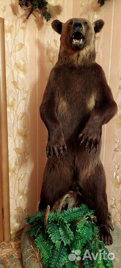 Чучело медведя (имитация)