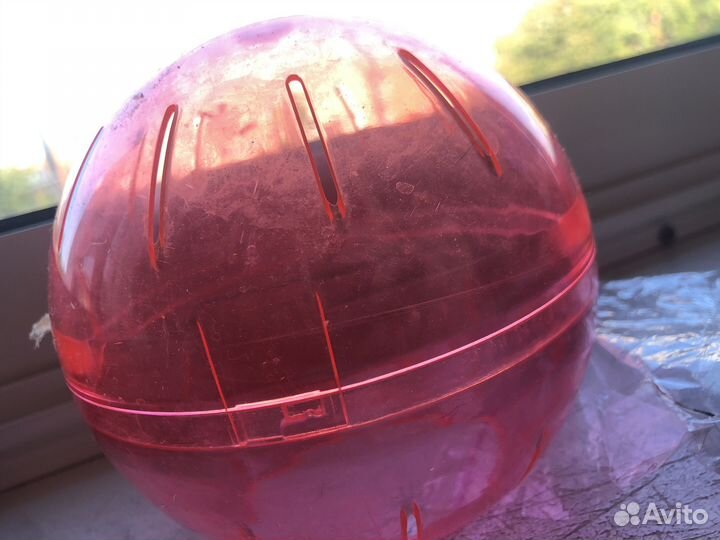 Товары для хомяков