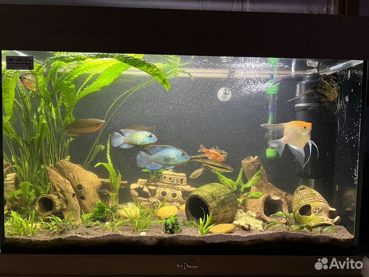 Продам аквариум