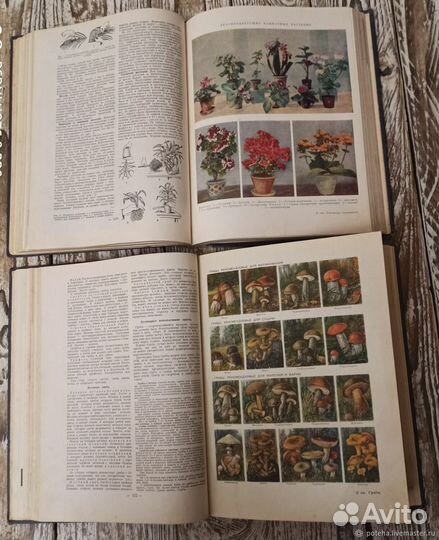 Краткая энциклопедия домашнего хозяйства. 2 тома