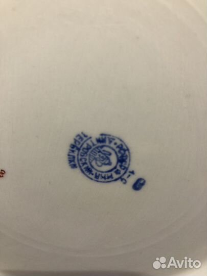 Тарелка вербилки