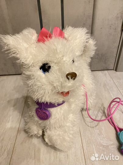 Интерактивная собака