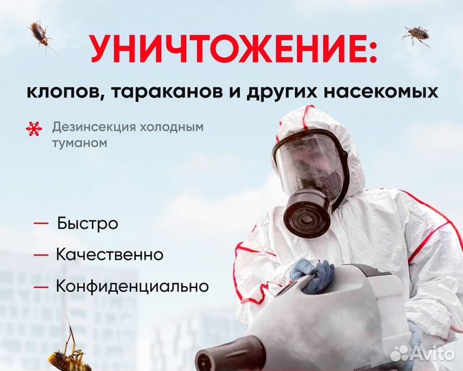 Уничтожение тараканов и клопов дезинфекция