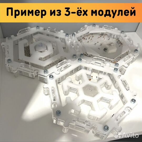 Дополнительный модуль для муравьиной фермы 