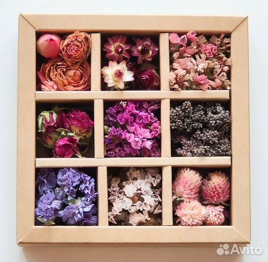 Сухоцветы для творчества