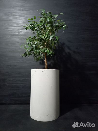 Горшки, Вазоны, Кашпо под заказ из бетона