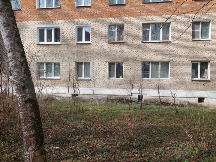 1-к. квартира, 31 м², 1/5 эт.