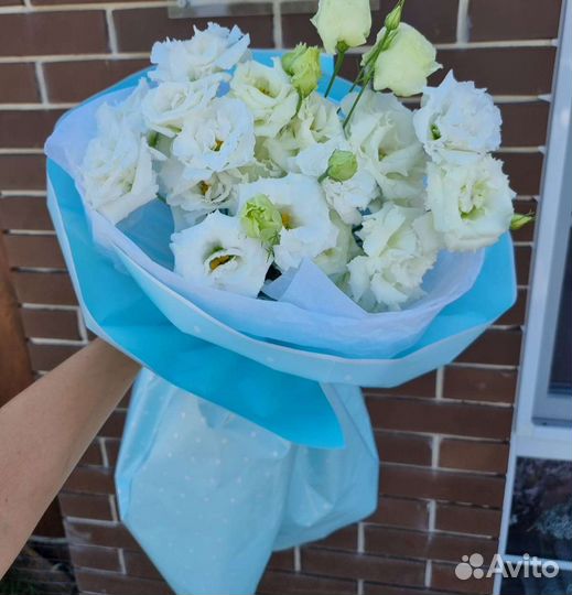 Живые цветы букеты