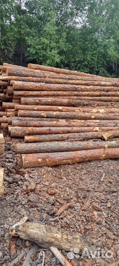 Столбы лиственные