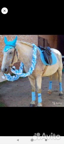 Нарядный комплект на старты и праздники для лошади