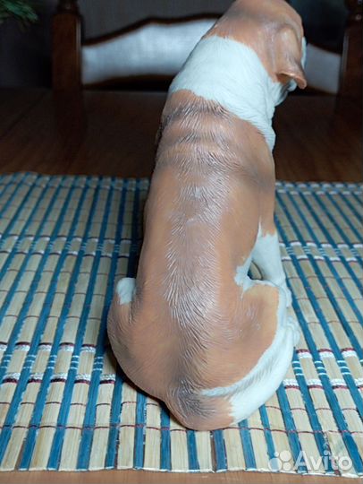 Собака Сенбернар