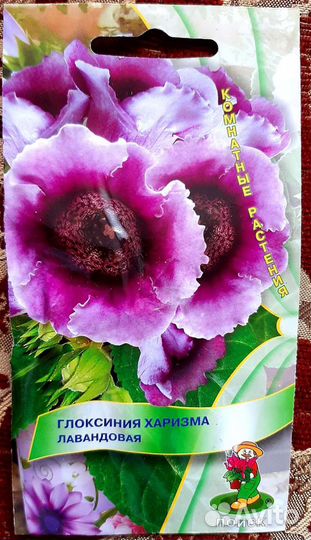 Семена красивоцветущих