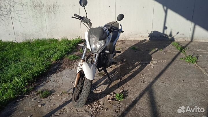 Stels Flex 250