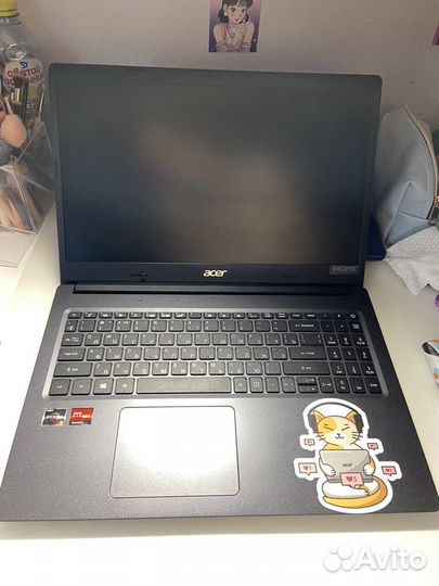 Acer extensa 15