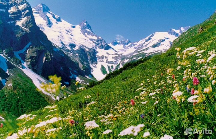 Тур в страну горных озер и водопадов Домбай 20июня