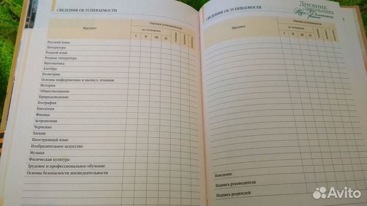 Дневник школьника