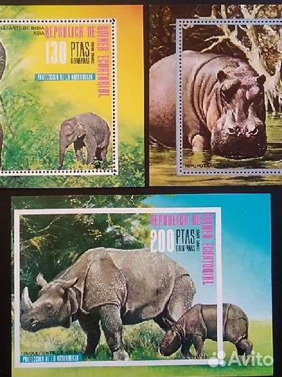 Марки, Фауна