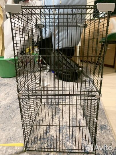 Клетка для грызунов бу, с полочками