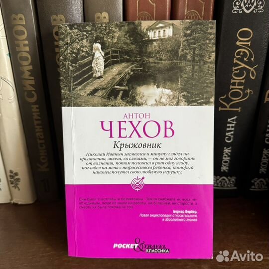 Чехов Крыжовник