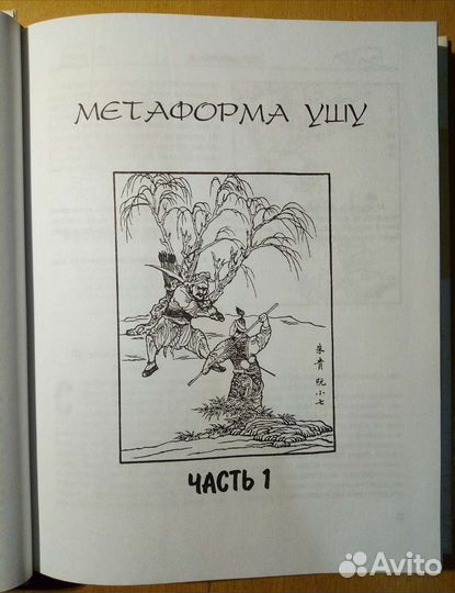 Тайный код китайского Кунфу. А. Маслов