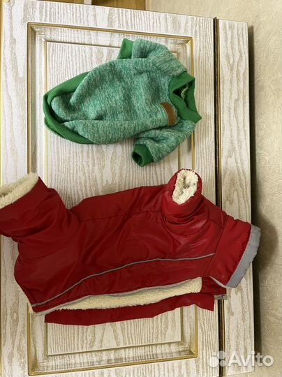 Одежда для маленьких собак