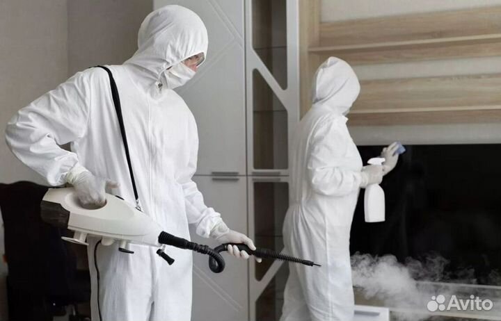 Средство для Уничтожения клопов травля тараканов дезинфекции