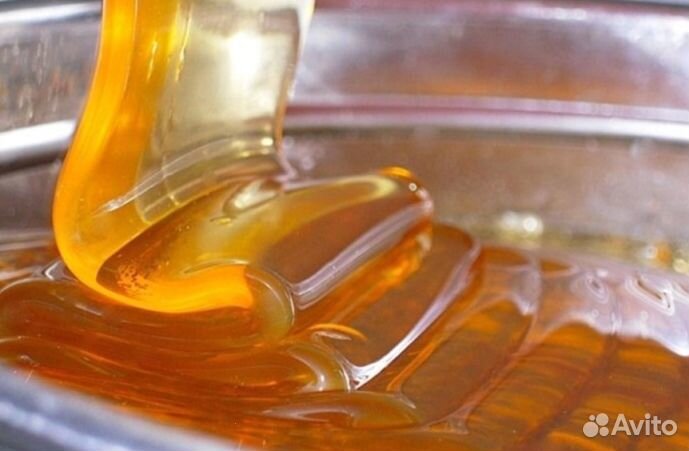 Мед натуральный Алтайский опт. минимально 16 кг