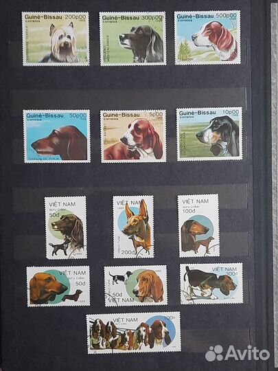 Коллекция почтовых марок 