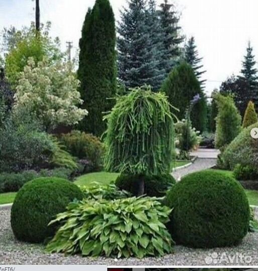 Готовая ландшафтная композиция