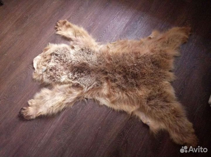 Шкура медведя(имитация)