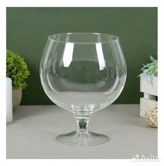 Аквариум новый