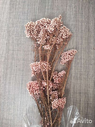 Стабилизированные розы и сухоцветы