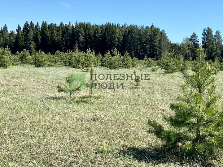 Участок 15,21 га (ИЖС)