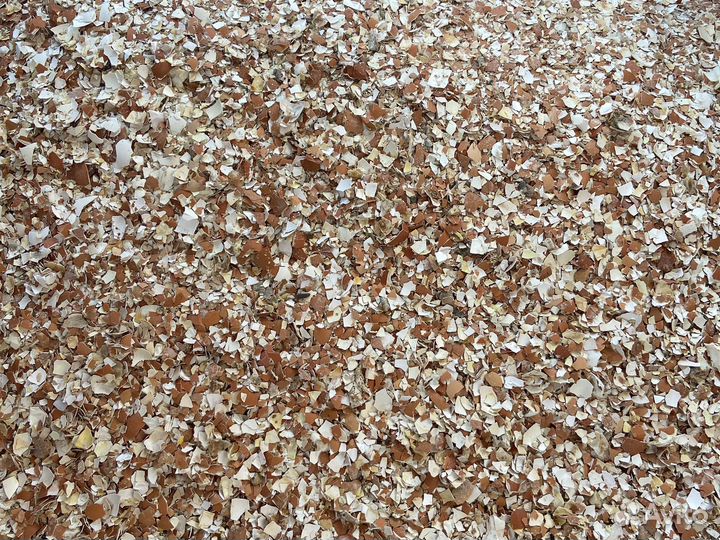 Яичная скорлупа