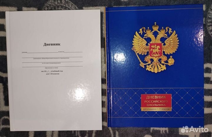 Дневники, тетради, альбомы для рисования в школу
