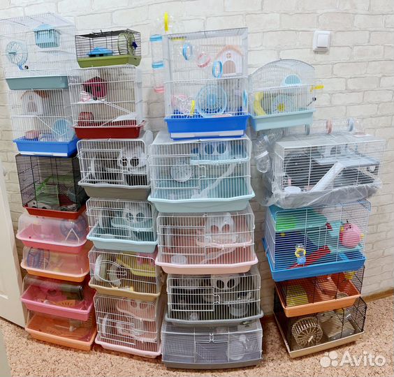 Клетки новые для грызунов