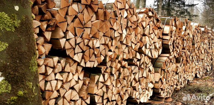 Дрова в область