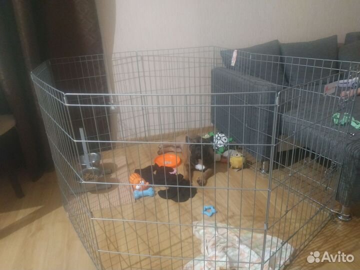 Вольер для собак в квартиру