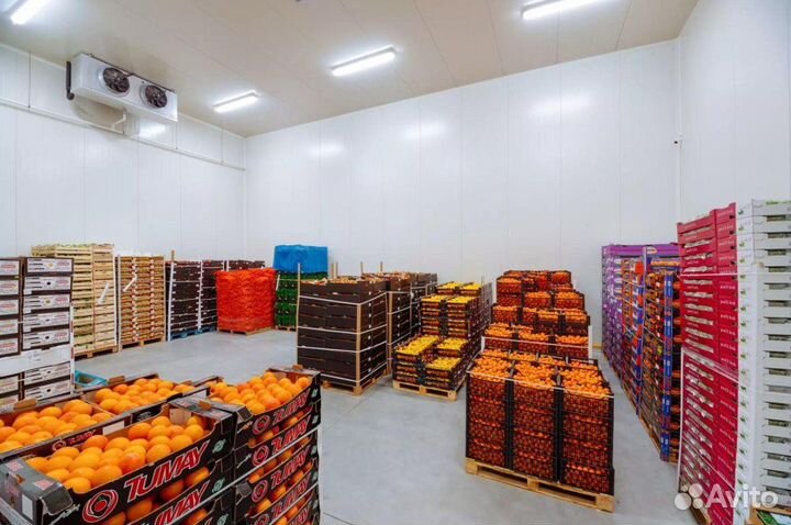 Холодильный склад для хранения овощей, фруктов