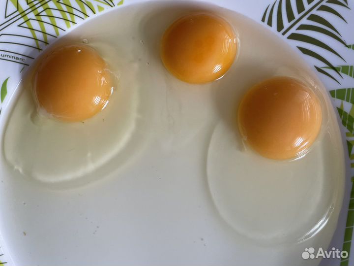 Домашние куриные яйца