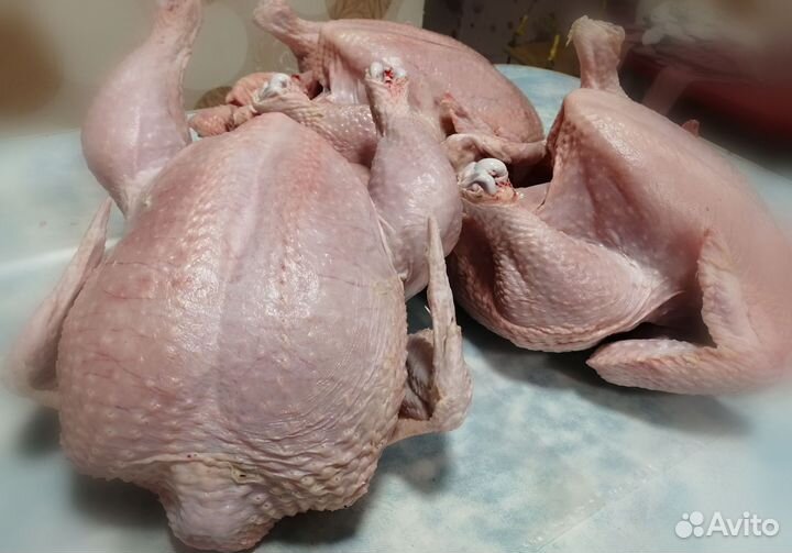 Тушка домашнего бройлера