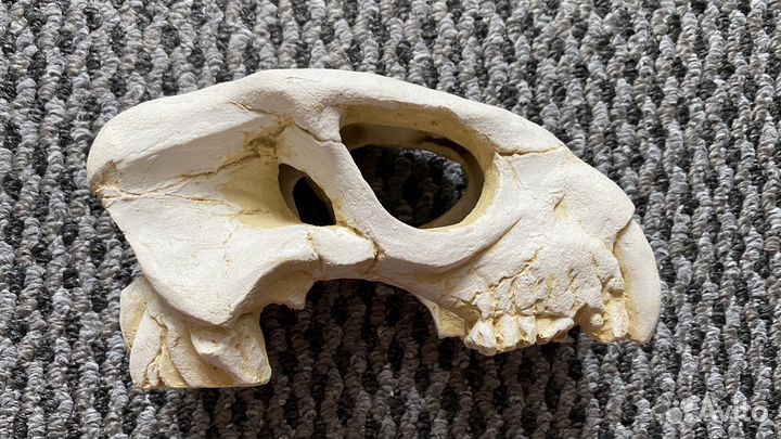 Декорации для аквариума