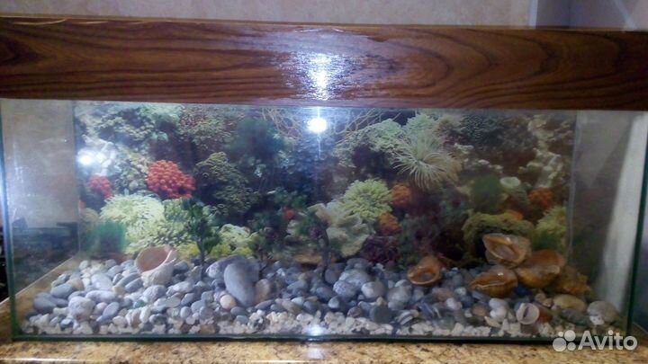 Аквариум