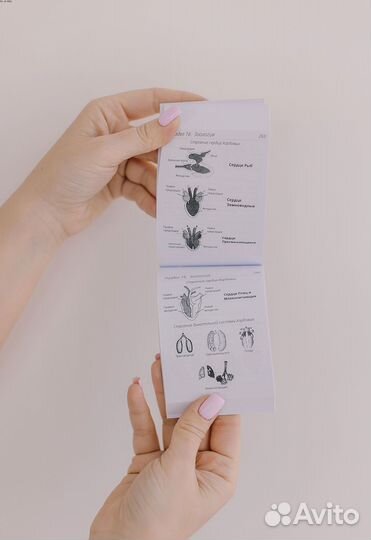 ЕГЭ по Биологии. Карманный справочник