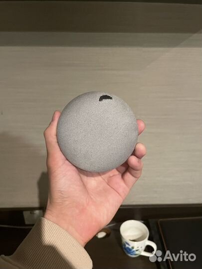 Google home mini